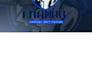 design a professional modern gaming logo for your brand